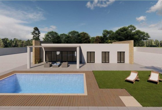 Новое здание - Villa - Pinoso - Campo