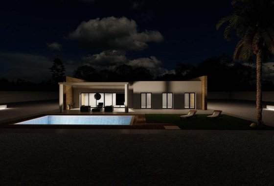 Новое здание - Villa - Pinoso - Campo
