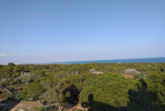 Nieuwbouw  - Appartement  - Guardamar del Segura - Pueblo
