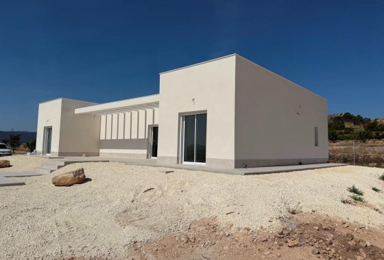 Новое здание - Villa - Pinoso - Camino Del Prado