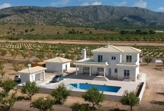 Новое здание - Villa - Pinoso - Camino Del Prado