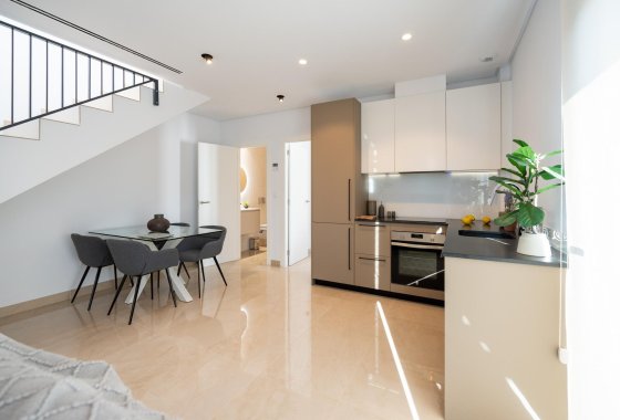 Новое здание - Villa - La Marina - El Pinet