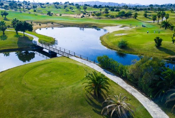 Новое здание - Villa - Orihuela - Vistabella Golf