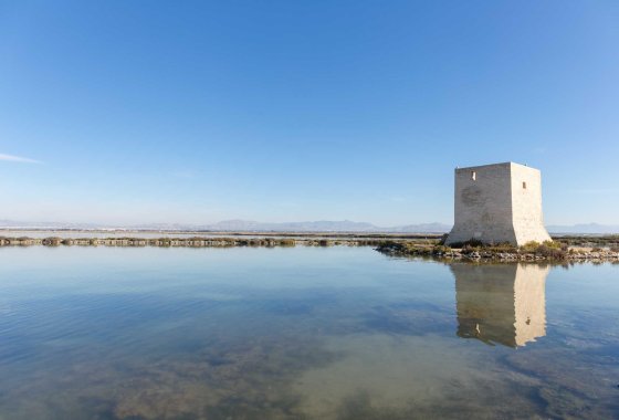 New Build - Apartman - Santa Pola