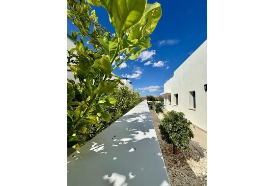 Новое здание - Villa - Benijofar - Pueblo