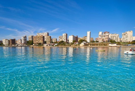 Новое здание - Villa - Els Poblets - Partida Barranquets