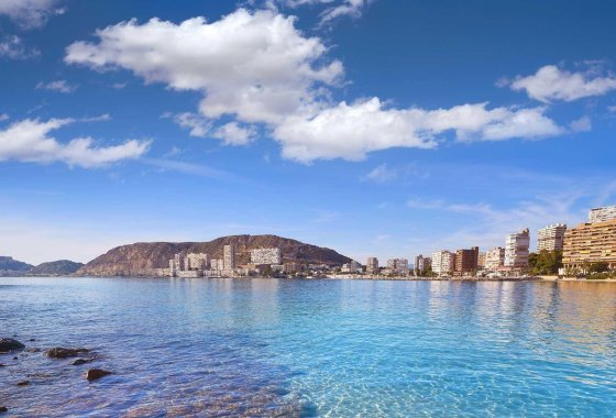 Новое здание - Villa - Els Poblets - Partida Barranquets