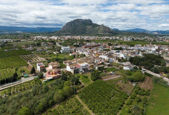 Новое здание - Villa - Els Poblets - Partida Barranquets