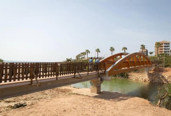 New Build - Villa - Pilar de la Horadada - Riomar