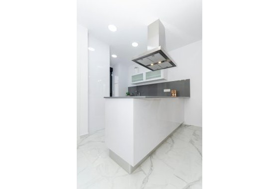 Новое здание - Villa - Torrevieja - Torretas