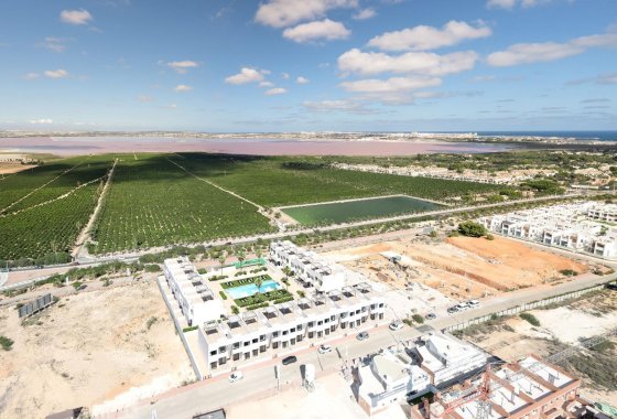 Obra nueva - Apartamento  - Torrevieja - Los Balcones