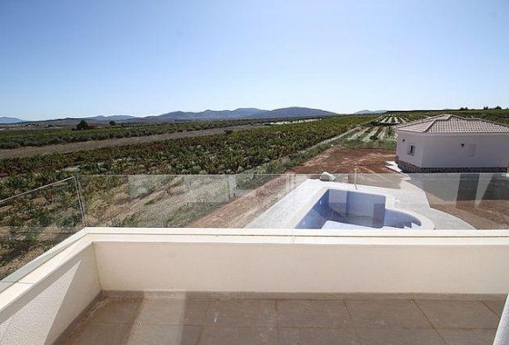 Новое здание - Villa - Pinoso - Camino Del Prado