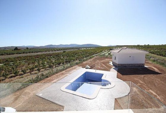 Новое здание - Villa - Pinoso - Camino Del Prado