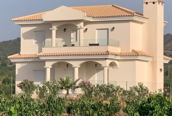 Новое здание - Villa - Pinoso - Camino Del Prado