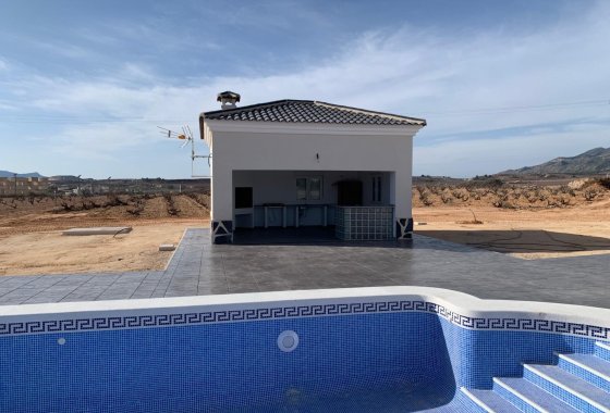 Новое здание - Villa - Pinoso - Camino Del Prado