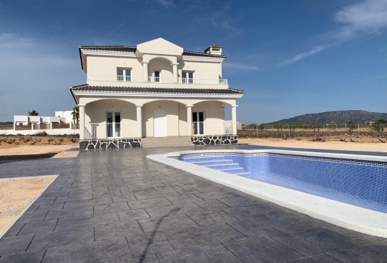 Новое здание - Villa - Pinoso - Camino Del Prado