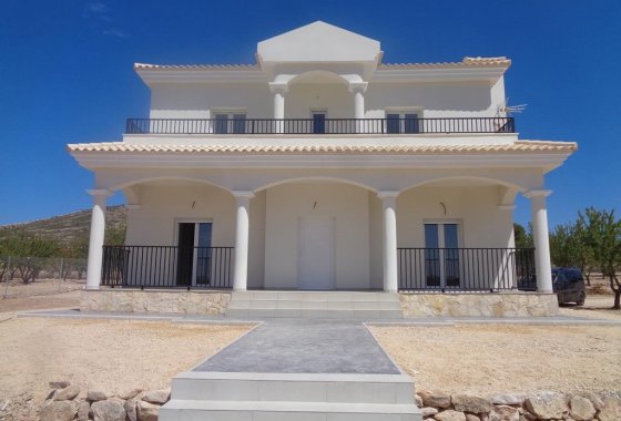 Новое здание - Villa - Pinoso - Camino Del Prado
