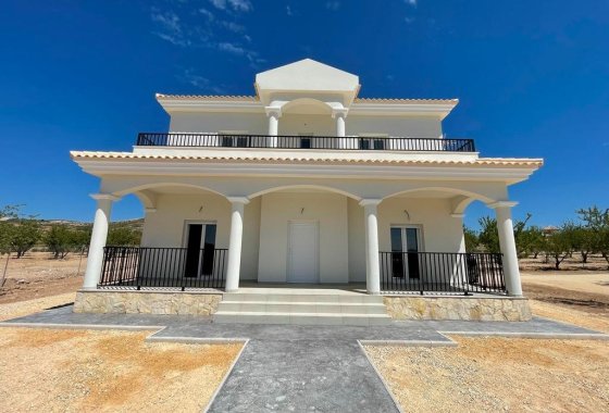 Новое здание - Villa - Pinoso - Camino Del Prado