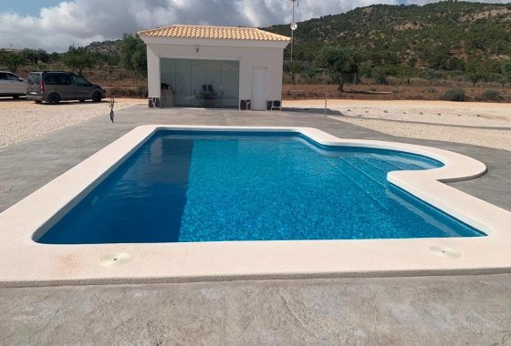Новое здание - Villa - Pinoso - Camino Del Prado