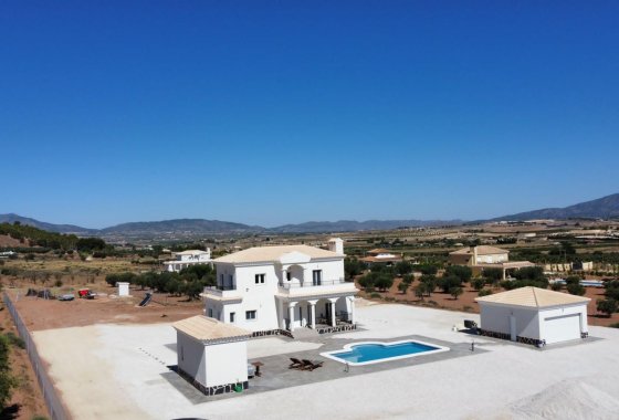 Новое здание - Villa - Pinoso - Camino Del Prado