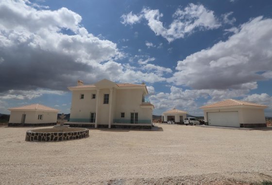 Новое здание - Villa - Pinoso - Camino Del Prado