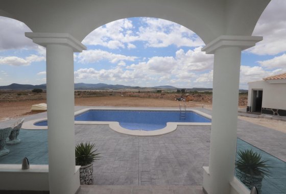 Новое здание - Villa - Pinoso - Camino Del Prado
