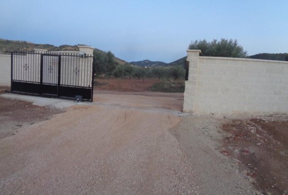 Новое здание - Villa - Pinoso - Camino Del Prado