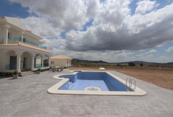 Новое здание - Villa - Pinoso - Camino Del Prado