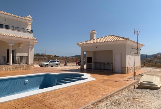 Новое здание - Villa - Pinoso - Camino Del Prado