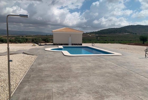 Новое здание - Villa - Pinoso - Camino Del Prado