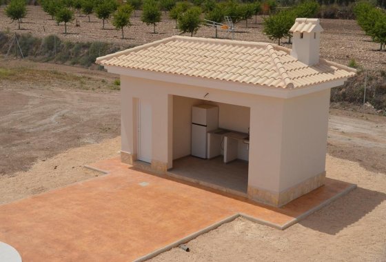 Новое здание - Villa - Pinoso - Camino Del Prado