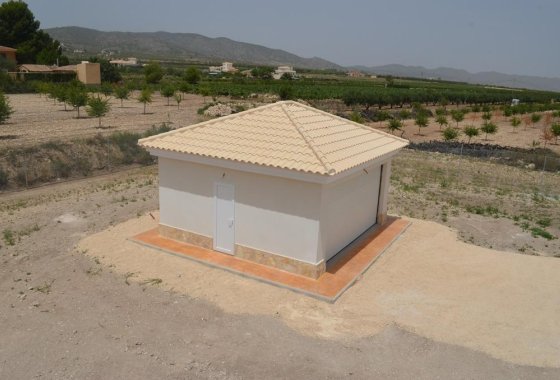 Новое здание - Villa - Pinoso - Camino Del Prado