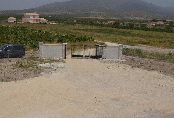 Новое здание - Villa - Pinoso - Camino Del Prado