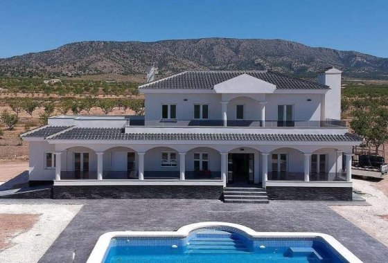 Новое здание - Villa - Pinoso - Camino Del Prado