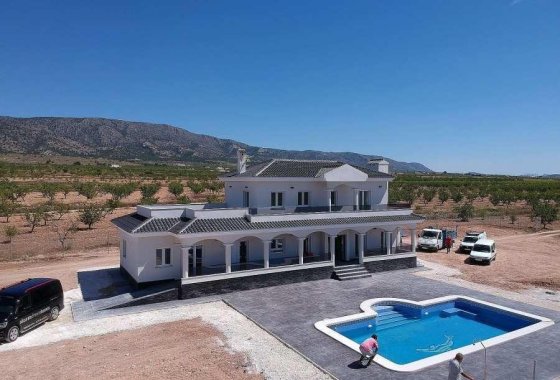 Новое здание - Villa - Pinoso - Camino Del Prado