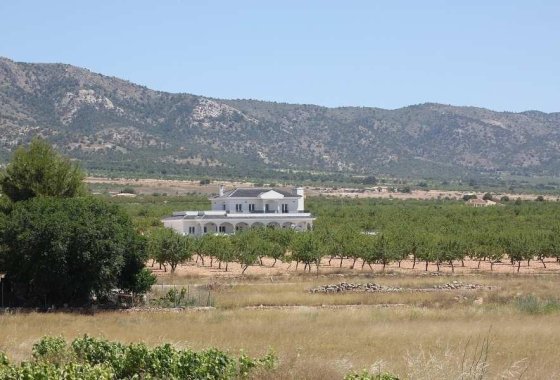 Новое здание - Villa - Pinoso - Camino Del Prado
