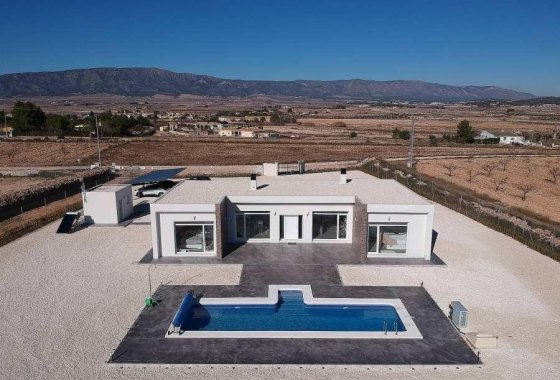 Новое здание - Villa - Pinoso - Camino Del Prado