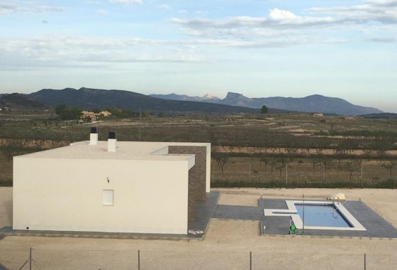 Новое здание - Villa - Pinoso - Camino Del Prado