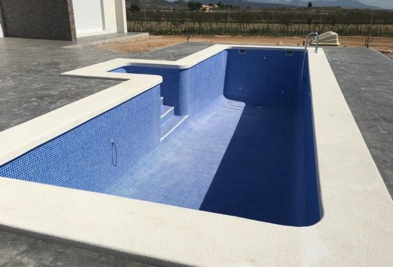 Новое здание - Villa - Pinoso - Camino Del Prado