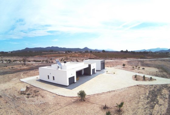Новое здание - Villa - Pinoso - Camino Del Prado