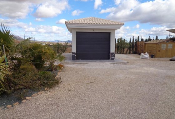 Новое здание - Villa - Pinoso - Camino Del Prado