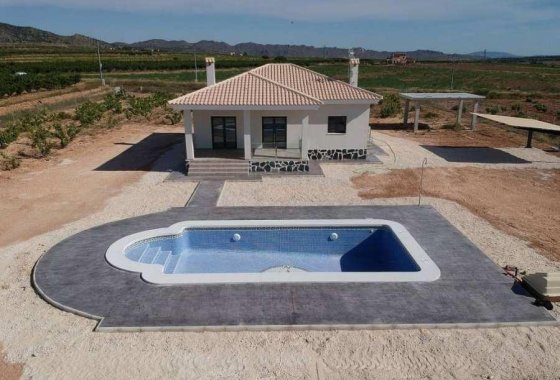 Новое здание - Villa - Pinoso - Camino Del Prado