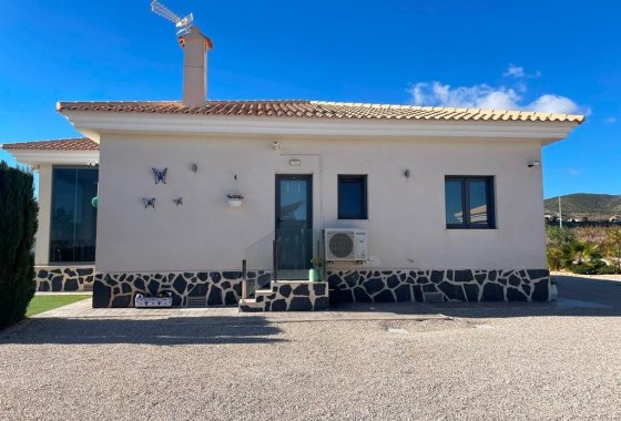 Новое здание - Villa - Pinoso - Camino Del Prado