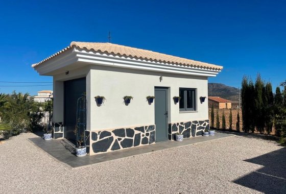 Новое здание - Villa - Pinoso - Camino Del Prado