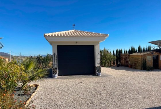 Новое здание - Villa - Pinoso - Camino Del Prado