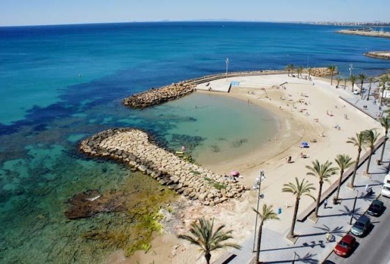New Build - Apartman - Torrevieja - Habaneras