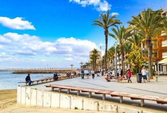 Obra nueva - Apartamento  - Torrevieja - Habaneras