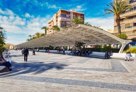 Obra nueva - Apartamento  - Torrevieja - Habaneras