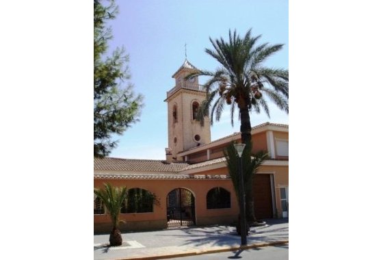 Новое здание - Villa - Los Montesinos - La herrada