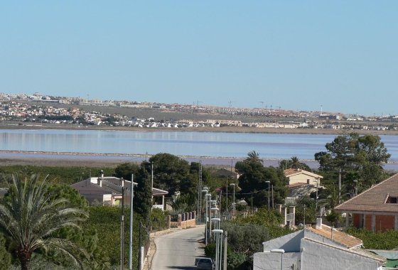 Новое здание - Villa - Los Montesinos - La herrada